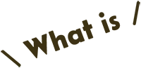 What is